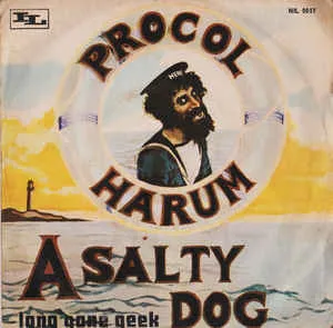 A Salty Dog / Lone Gone Geek