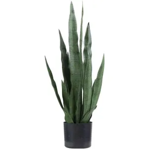 Artificial Lucky Plant Plant 90cm