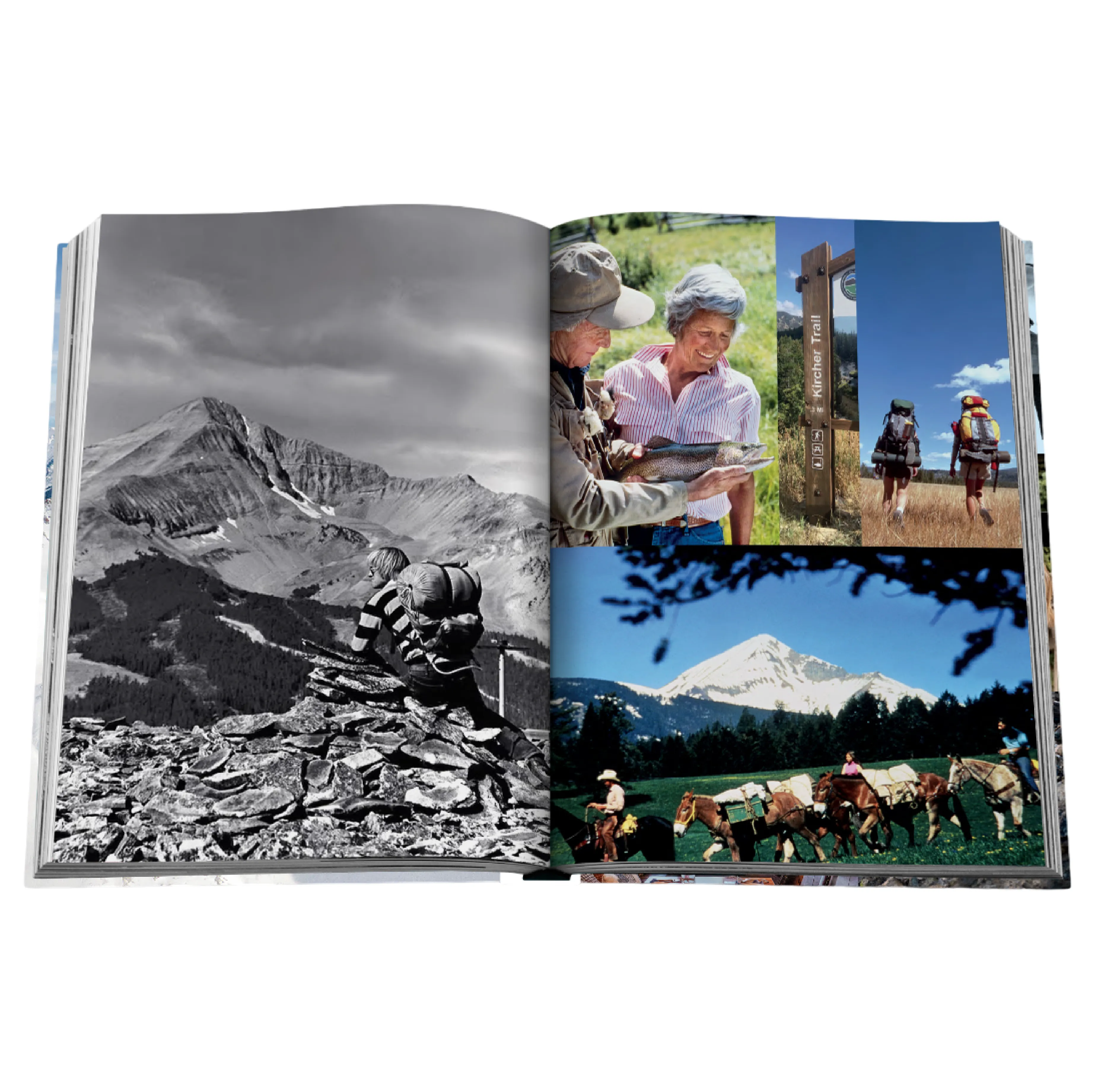 Big Sky: Montana' Book | Barbara Rowley