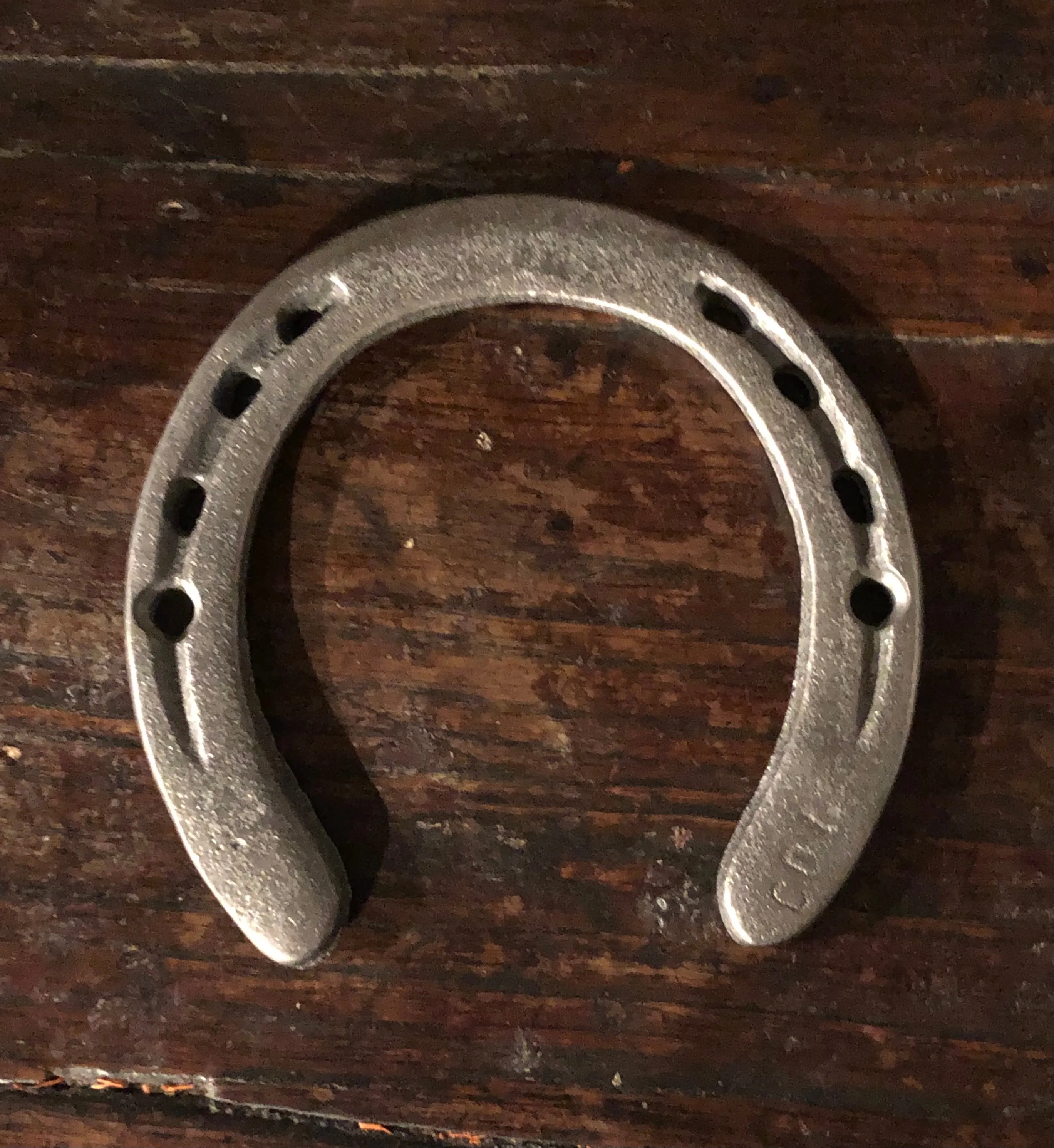 Cast Iron Horseshoe - Good Luck - Protection