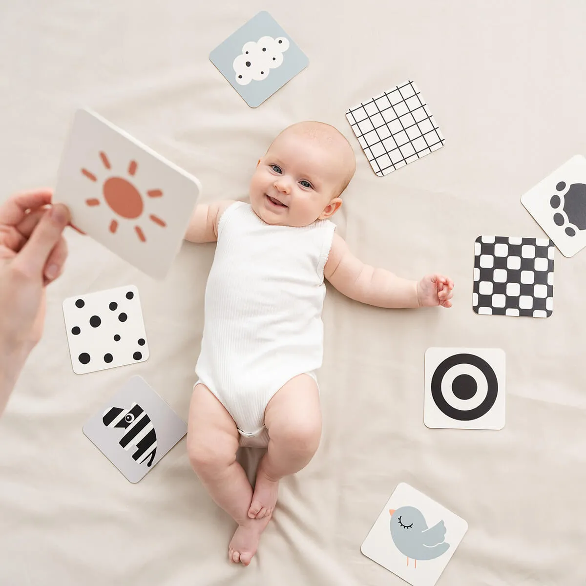 Deer Friends Double-Sided Baby Contrast Cards | Set of 10