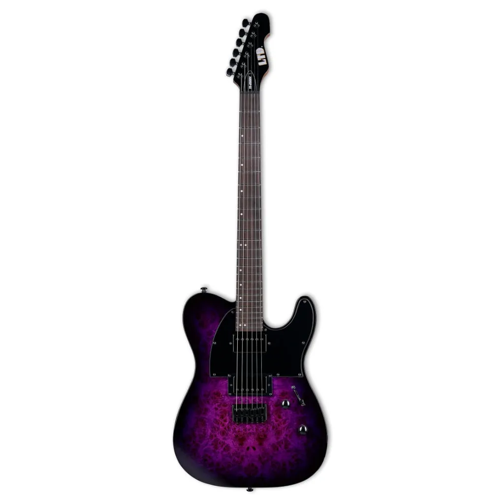 ESP LTD TE-200DX Electric Guitar - Purple Burst