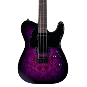 ESP LTD TE-200DX Electric Guitar - Purple Burst