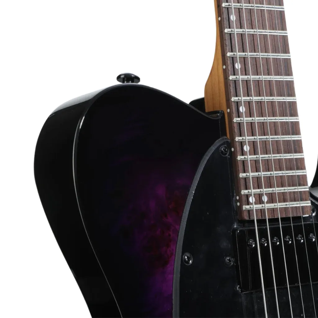 ESP LTD TE-200DX Electric Guitar - Purple Burst