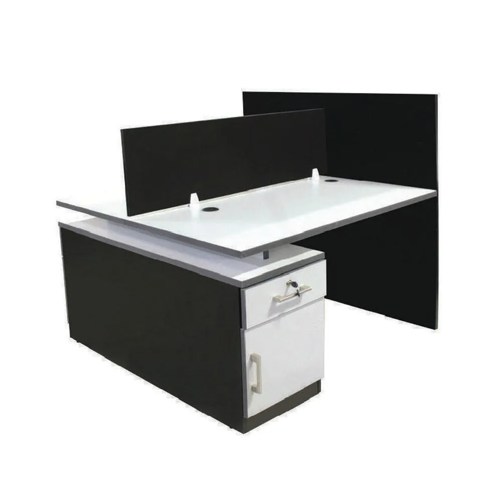 Euro 2 Way Workstation Partition & Fixed Pedestal Black