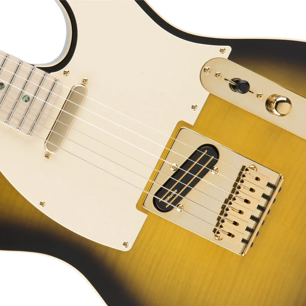 Fender Richie Kotzen Telecaster, Maple Fingerboard, Brown Sunburst