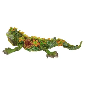 Floral Succulent Lizard