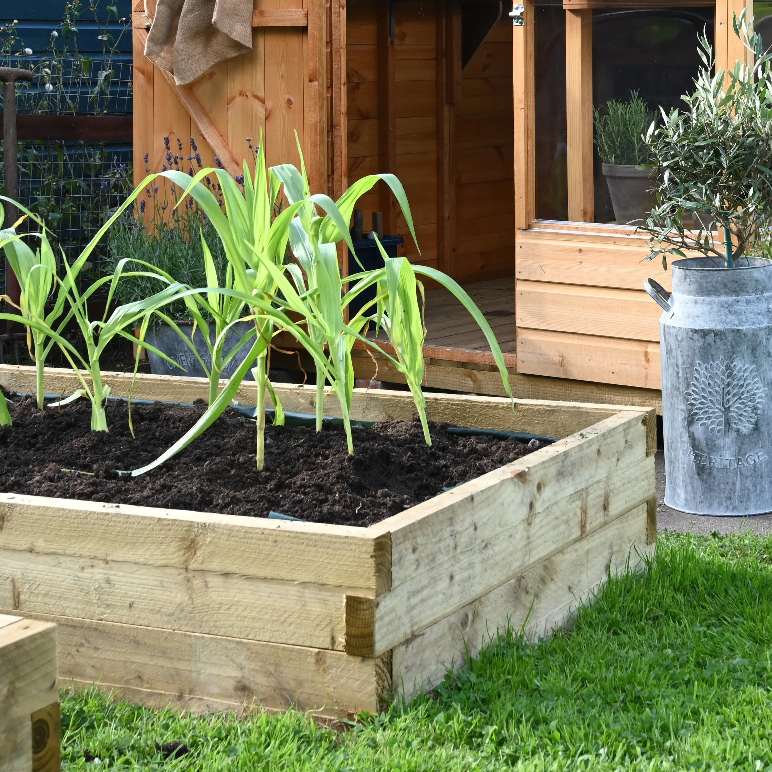 Forest Garden Caledonian Large Raised Bed 90 X 180cm