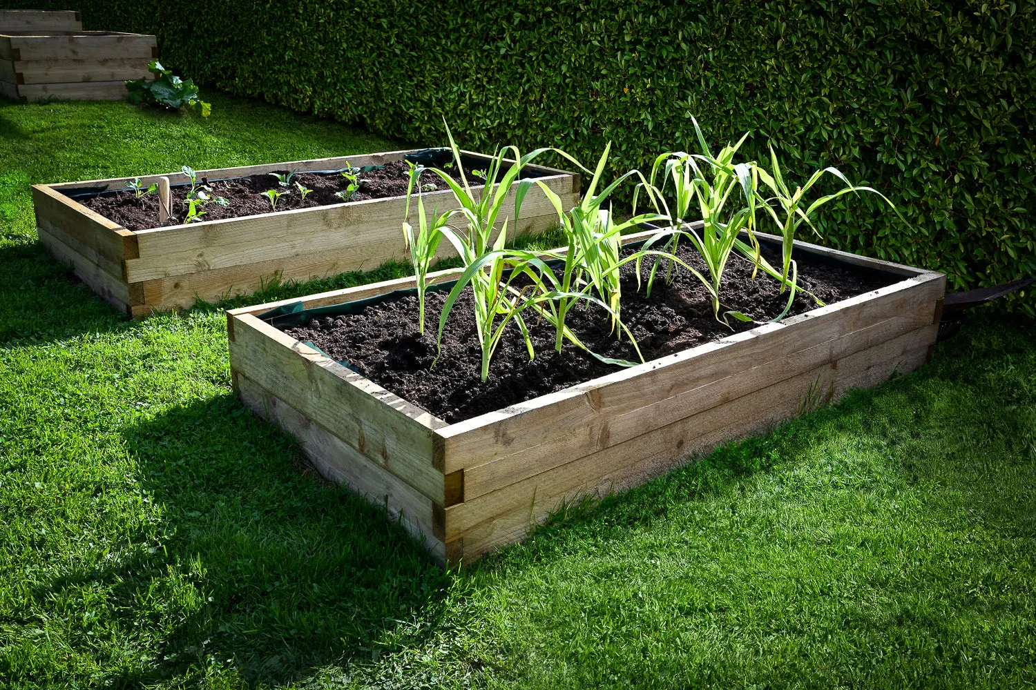 Forest Garden Caledonian Large Raised Bed 90 X 180cm