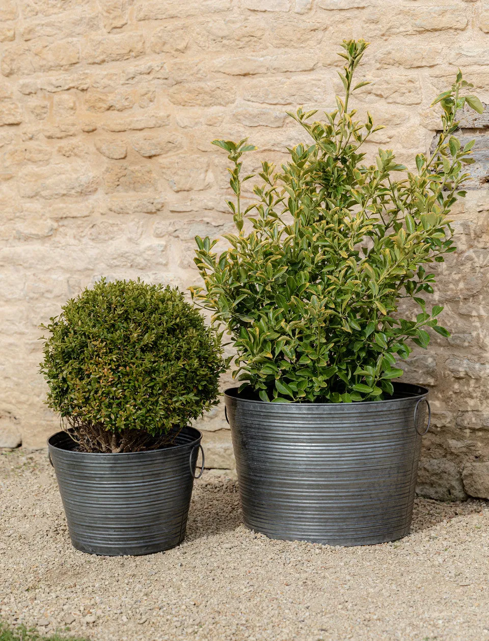 Garden Trading Galvanised Buscot Planter