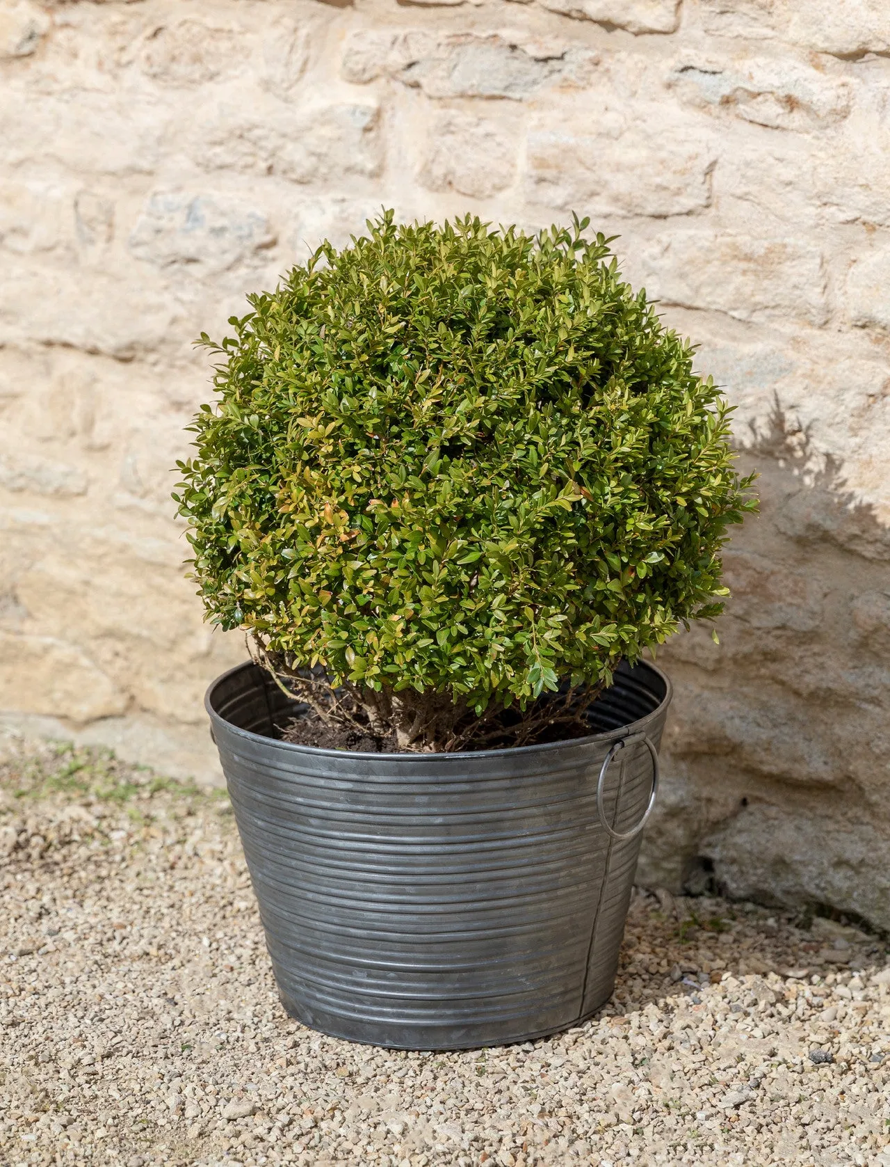 Garden Trading Galvanised Buscot Planter