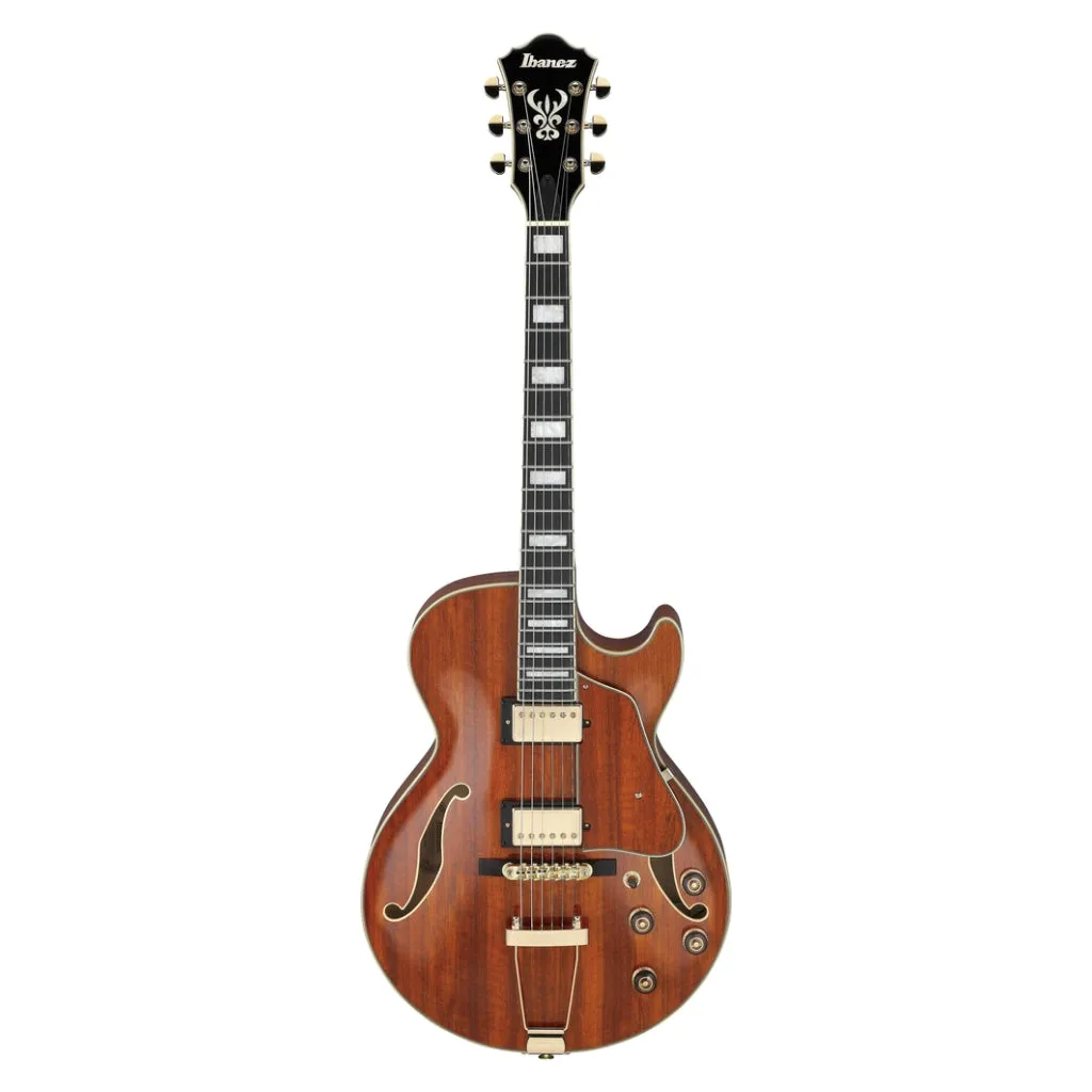 Ibanez AG95KNT Electro Acoustic Guitar Natural
