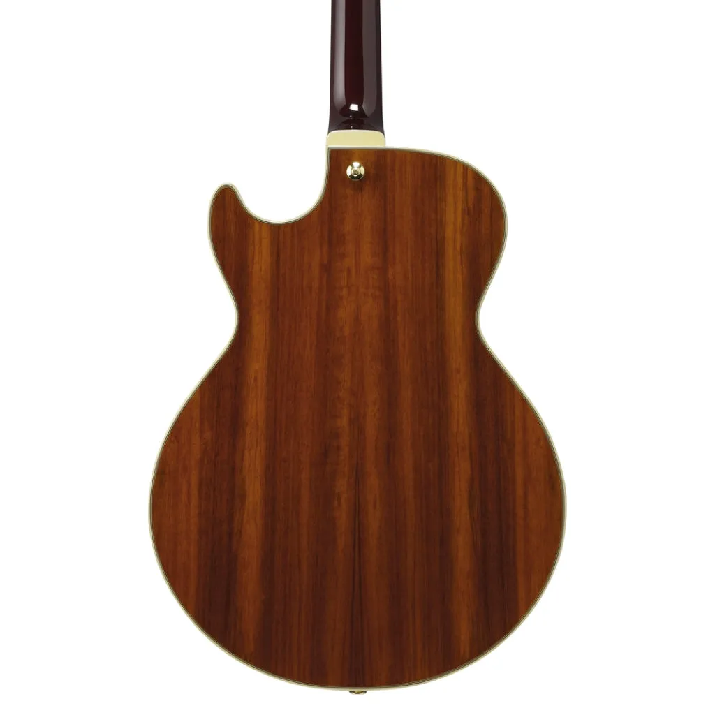 Ibanez AG95KNT Electro Acoustic Guitar Natural