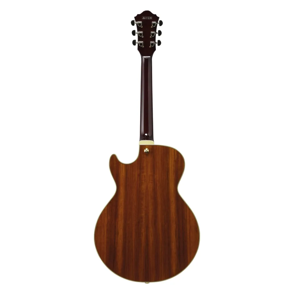 Ibanez AG95KNT Electro Acoustic Guitar Natural