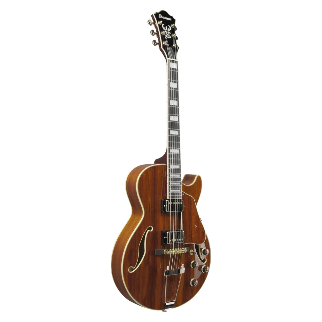 Ibanez AG95KNT Electro Acoustic Guitar Natural