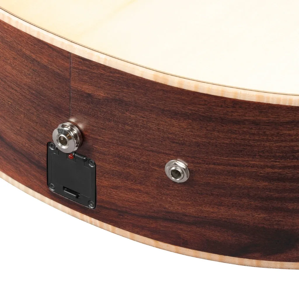 Ibanez PA300E Acoustic Guitar - Natural Satin Top, Natural Low Gloss Back and Sides