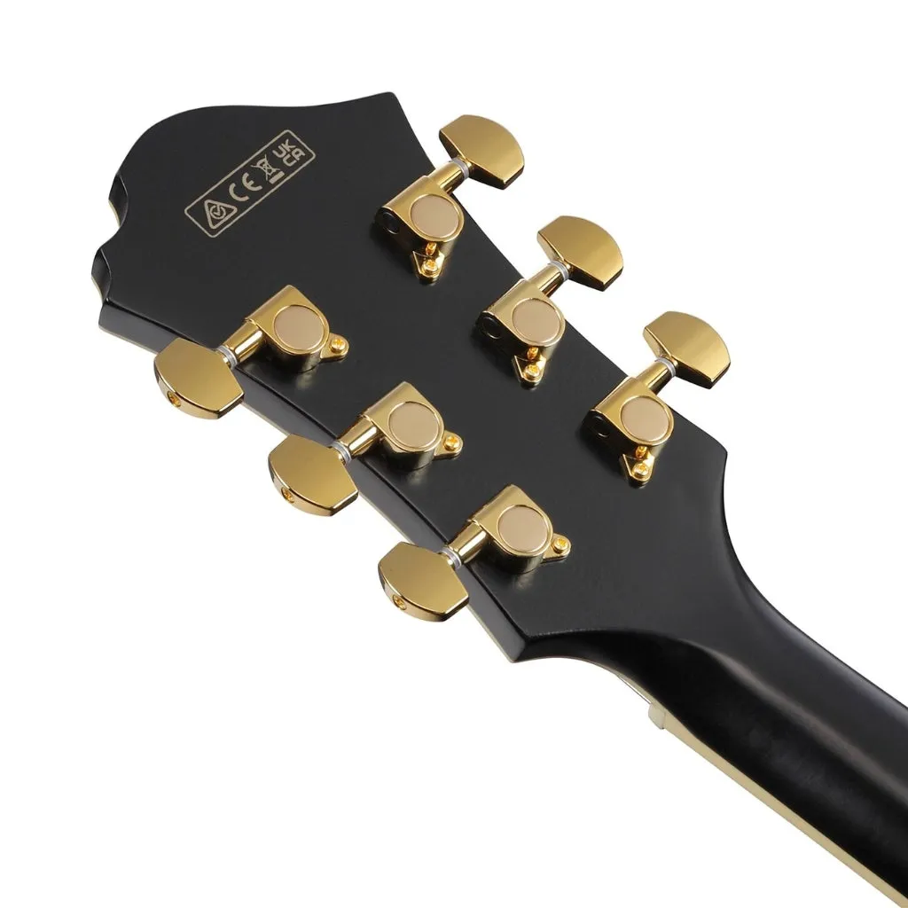 Ibanez PM3C Pat Metheny Signature Electric Guitar - Black Low Gloss