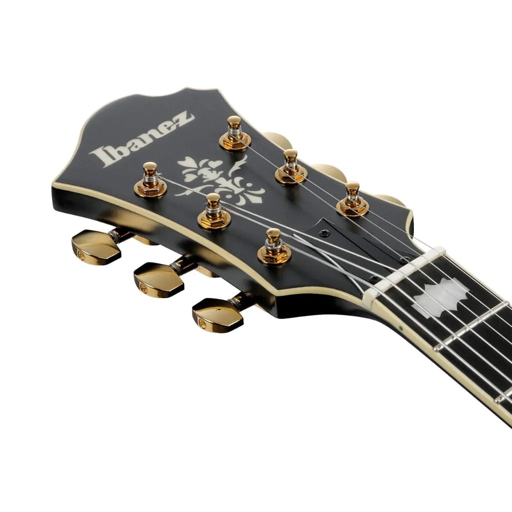 Ibanez PM3C Pat Metheny Signature Electric Guitar - Black Low Gloss
