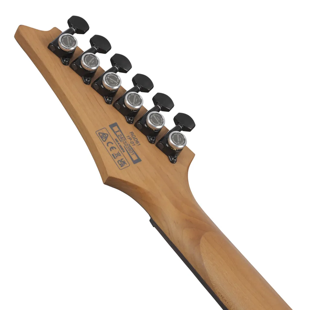 Ibanez RGD61 Nyatoh Body and Ebony Fretboard - Black Aurora Burst Matte