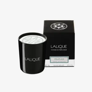 Lalique | Candle 190G Poplar Aspen