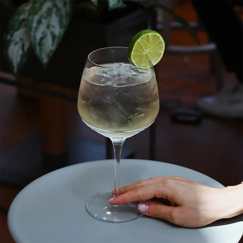 Luigi Bormioli | Roma 1960 Gin Glass - Set of 6