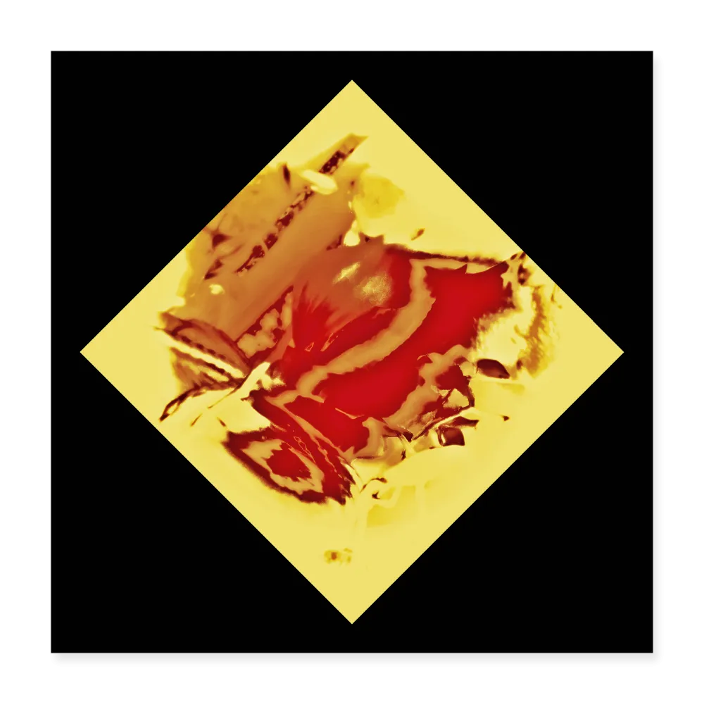 MELT Poster 16x16