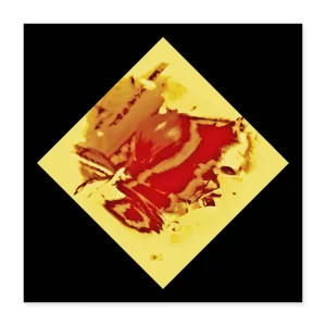MELT Poster 16x16