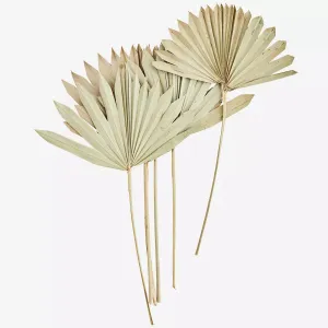 Palm Leaves Bunch