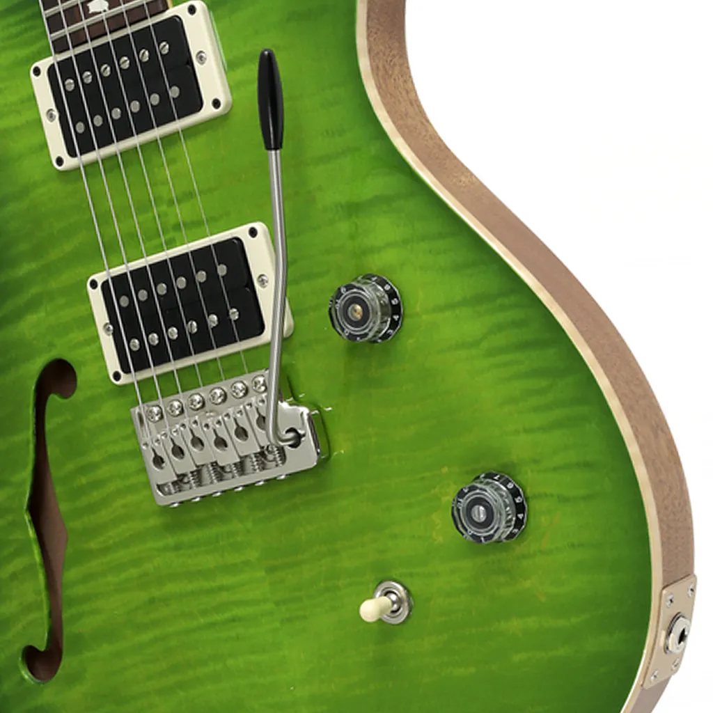 PRS CE24 Semi Hollow Electric Guitar - Eriza Verde