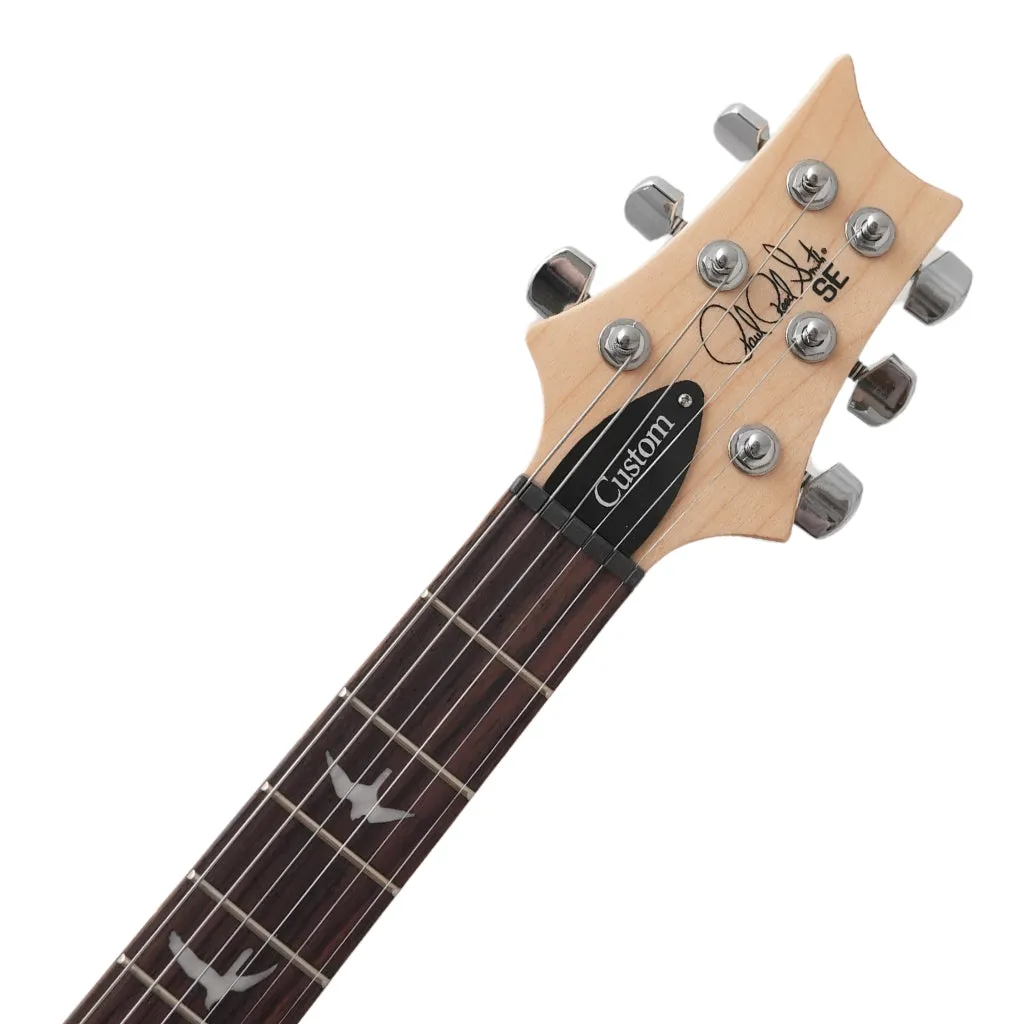 PRS SE Custom 24 Limited Edition  - Blue Fade