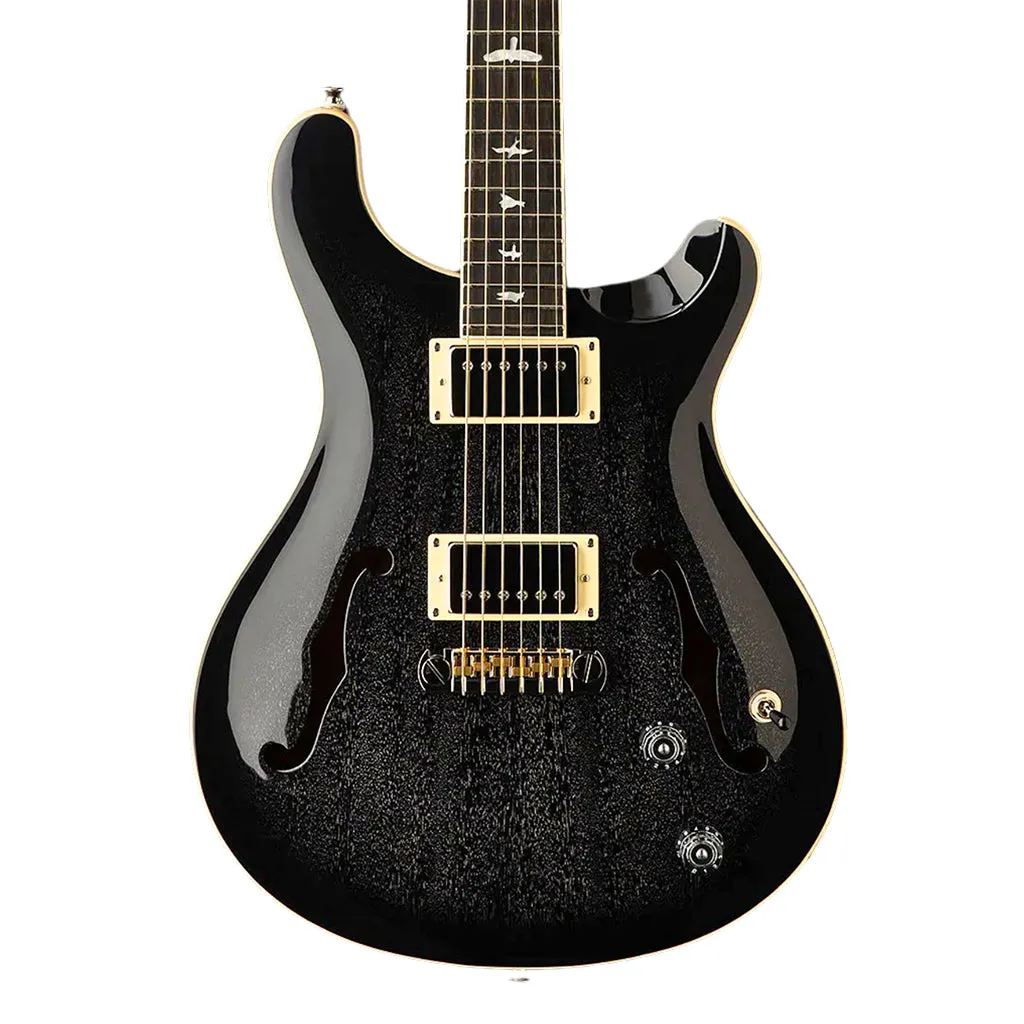 PRS SE Hollowbody Standard - Dog Hair Smokeburst