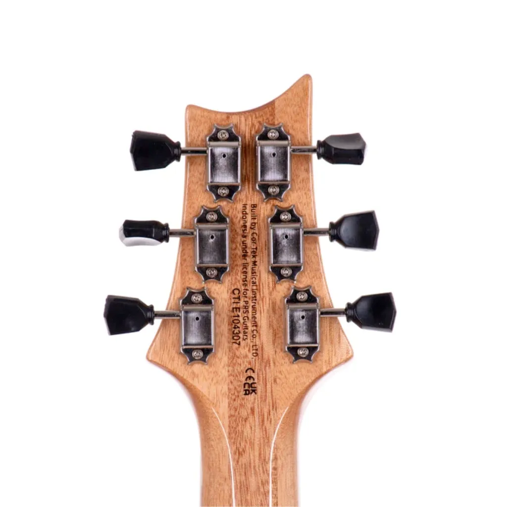 PRS SE Pauls Guitar - Turquoise