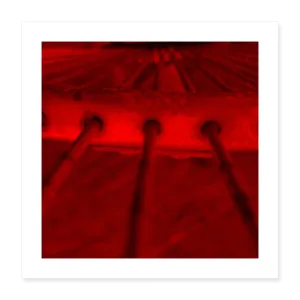 RED Poster 16x16