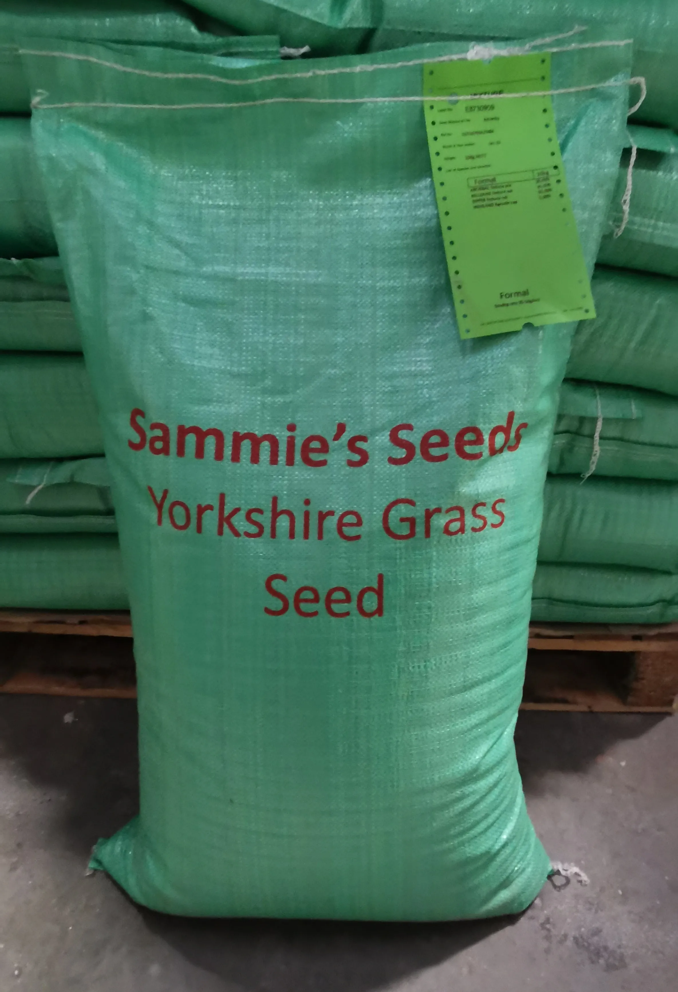 Sammie's Seeds Low Maintenance Grass Mix