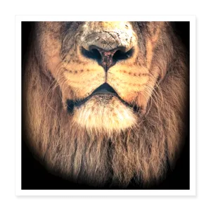 SOFT Poster 16x16