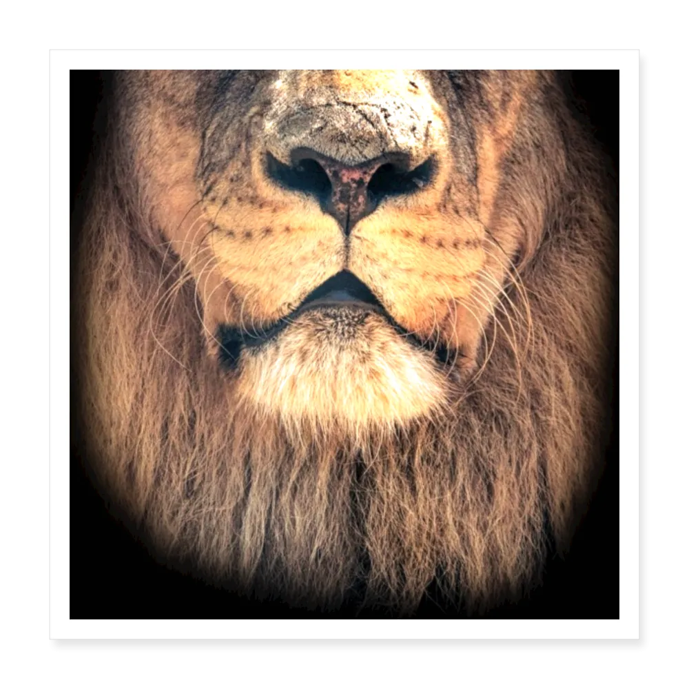 SOFT Poster 16x16