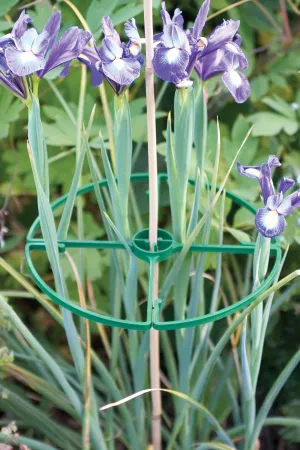 The Good Life Flower Support Ring x2