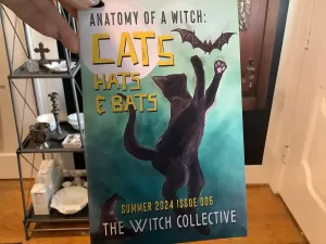 The Witch Collective Zine - Summer 2024 Issue
