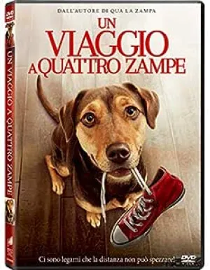 Un Viaggio A Quattro Zampe