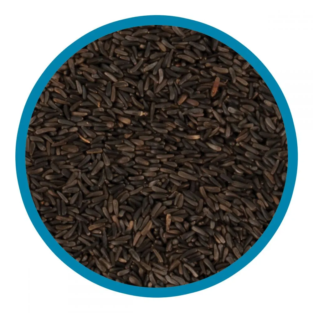 Walter Harrison's Nyger Seed Bird Feed 12.75kg