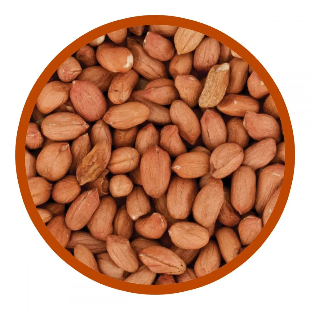 Walter Harrison's Premium Peanuts Bird Feed Pouch 2kg
