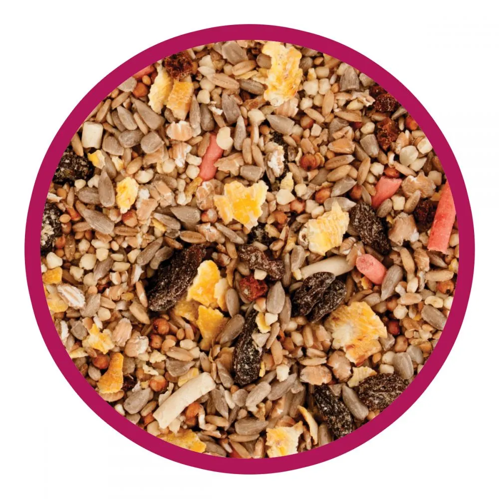 Walter Harrison's Songbird Mix Bird Feed Pouch 2kg