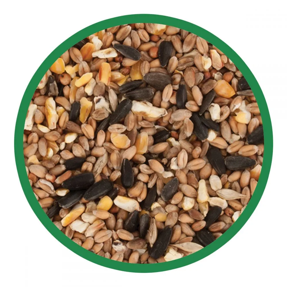 Walter Harrison's Wild Bird Mix Bird Feed Pouch 4kg