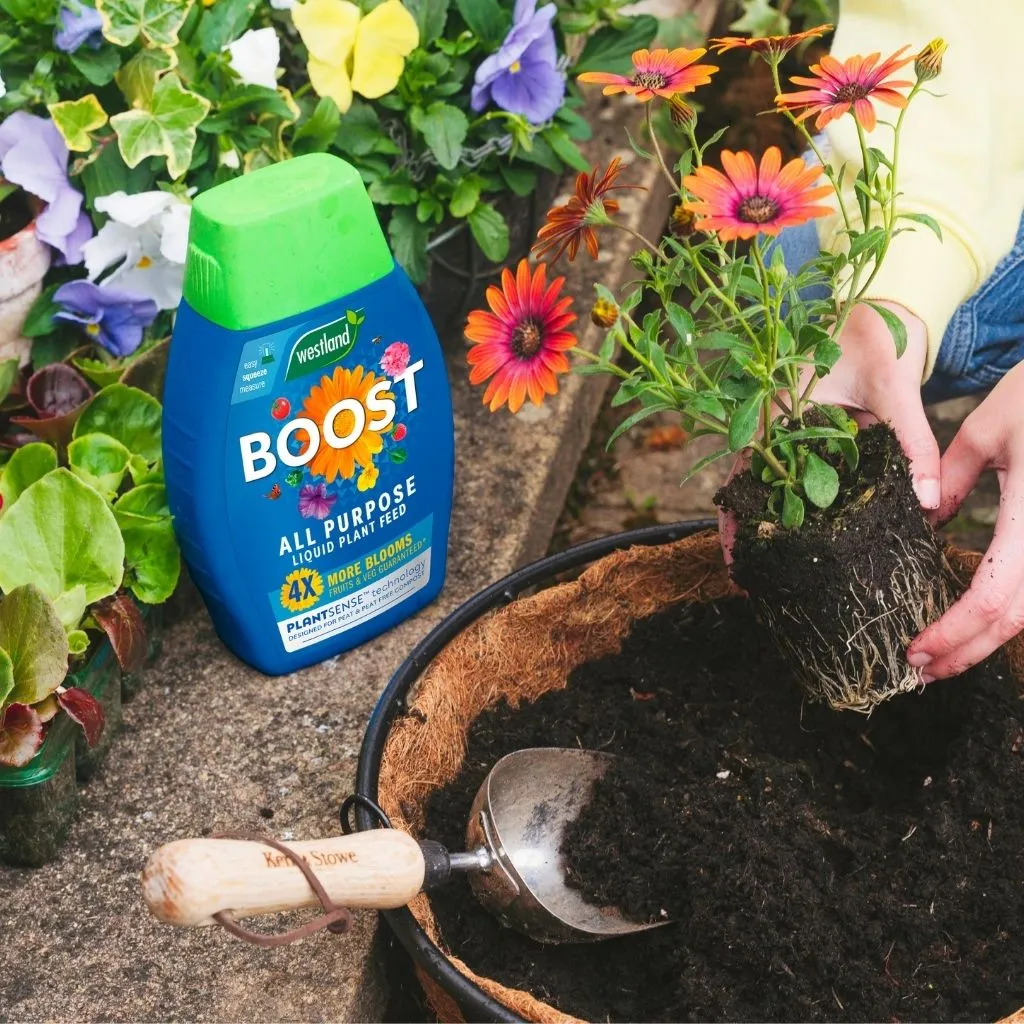 Westland Boost All Purpose Liquid Plant Feed