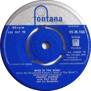 Wild Is The Wind / No Love