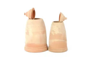 Woodlodge Terracotta Rhubarb Forcer 60cm